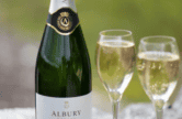 Wine Tasting at Albury Organic Vineyard with lunch and optional walk