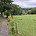 Exploring the woods around Thames Ditton