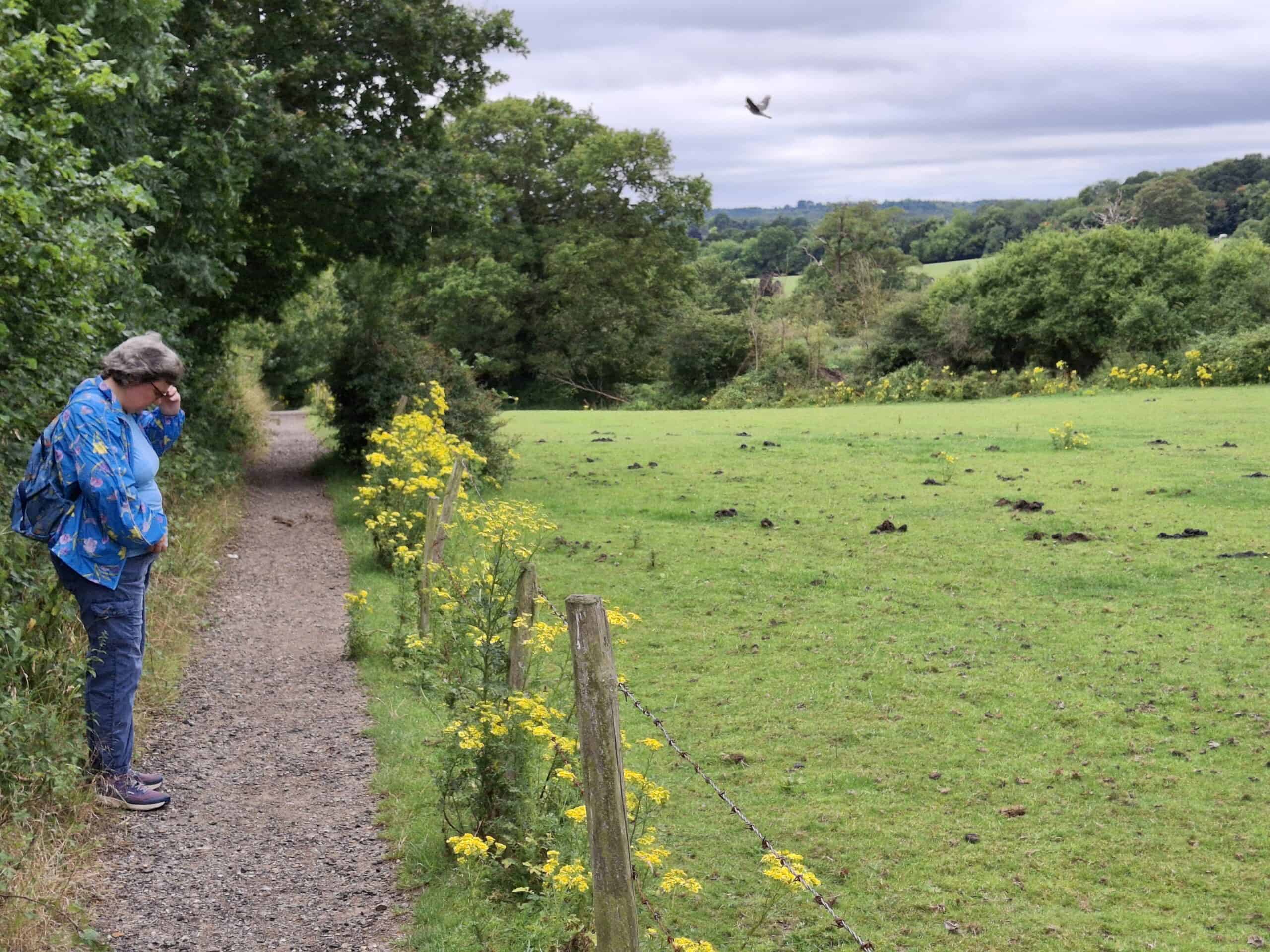 Exploring the woods around Thames Ditton