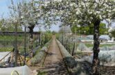 A visit to Grace and Flavour and Plant Passion