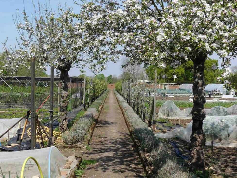 A visit to Grace and Flavour and Plant Passion