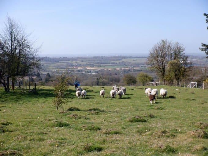 Downlands Circular walk