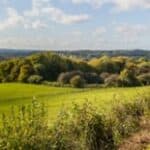 AGM at Hampton Estate, Seale followed by lunch and an optional walk around the Estate