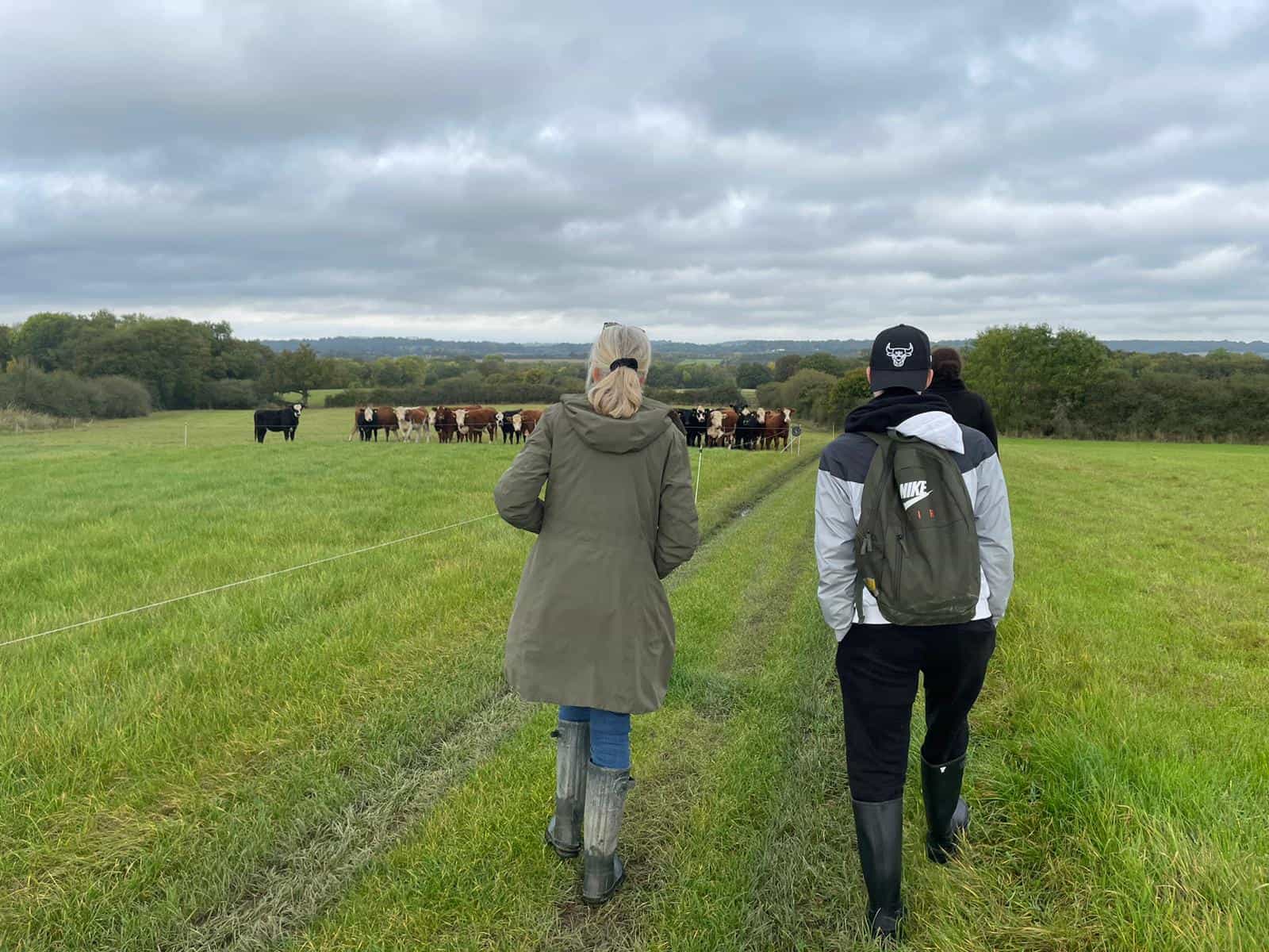 Farm for Health. Supporting Young People with Mental Health ...