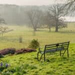 Walk Off Your Christmas Pudding walk around Gatton Park Estate (East Surrey)