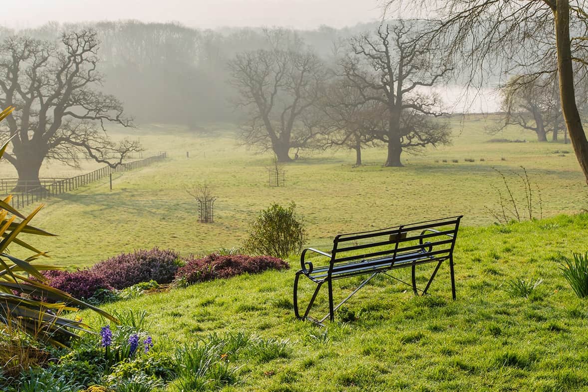 Walk Off Your Christmas Pudding walk around Gatton Park Estate (East Surrey)