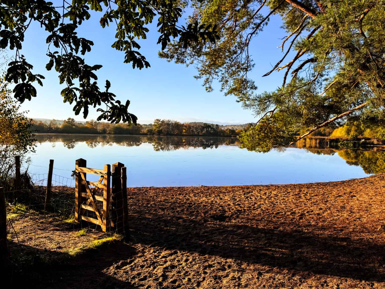 explore-frensham-little-pond-and-surrounds-surrey-hills-society