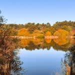 Explore Frensham Little Pond and surrounds