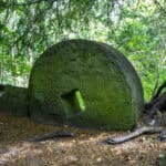 Talk on Chilworth Gunpowder Mills and Afternoon Tea