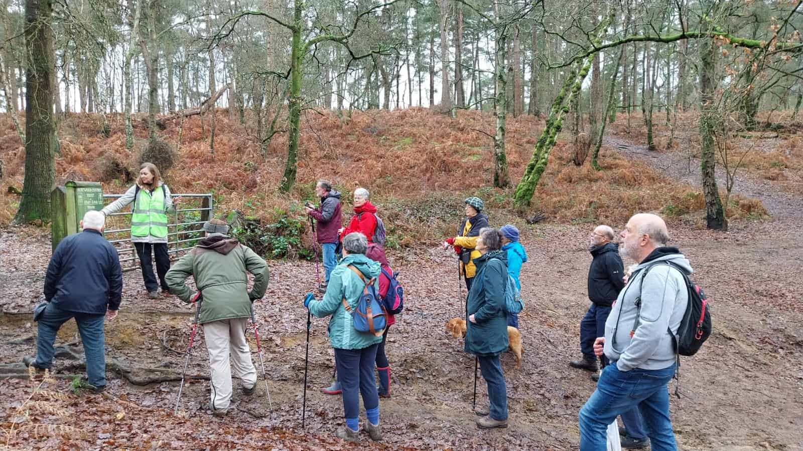 Free guided walk of the Month - Explore Blackheath