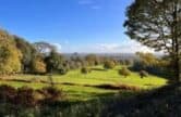 Free Walk of the Month - Explore Forest Green