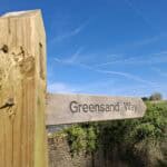 Explore Hydon Hill, near Godalming