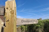 Explore Hydon Hill, near Godalming