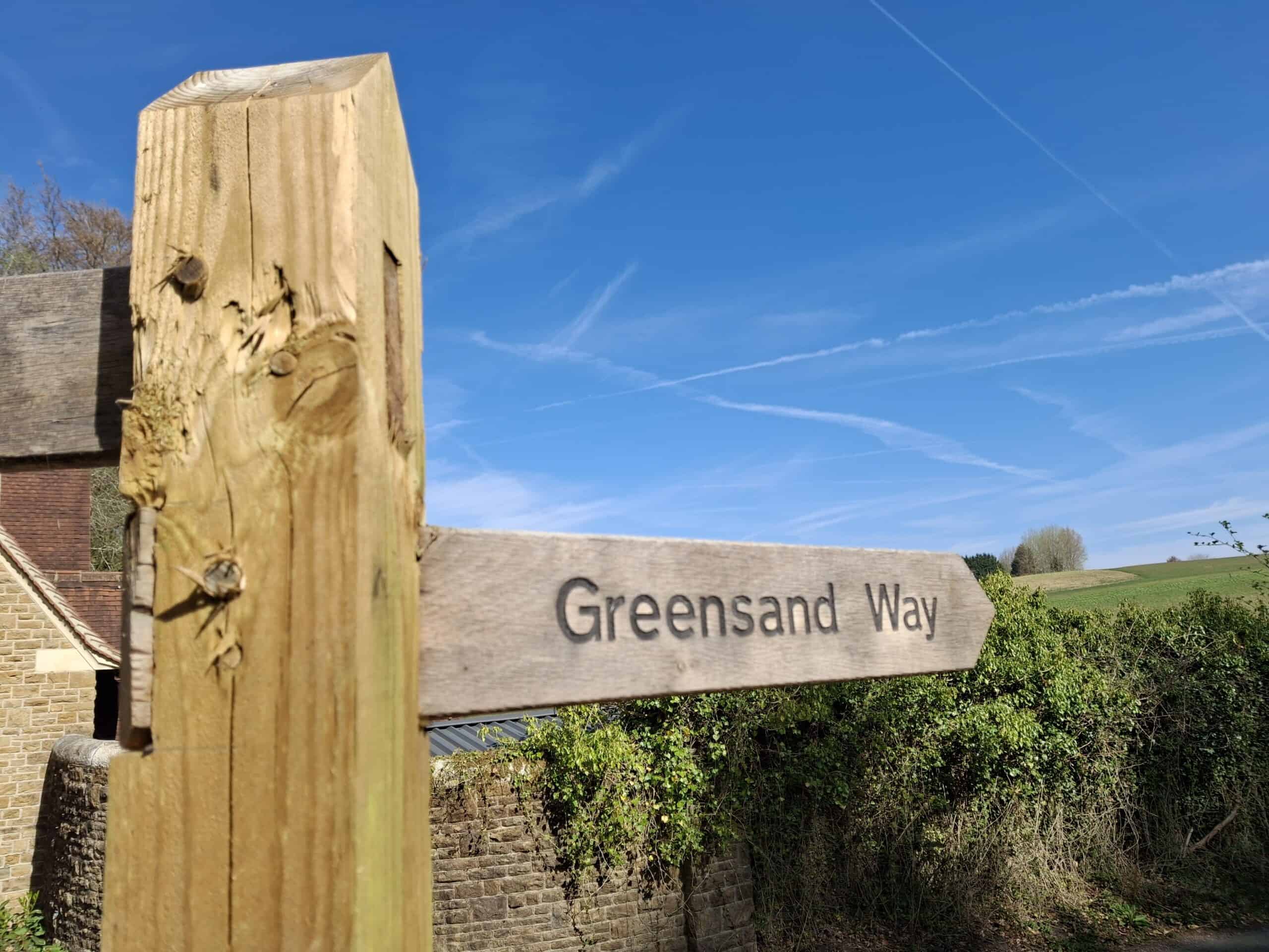 Explore Hydon Hill, near Godalming