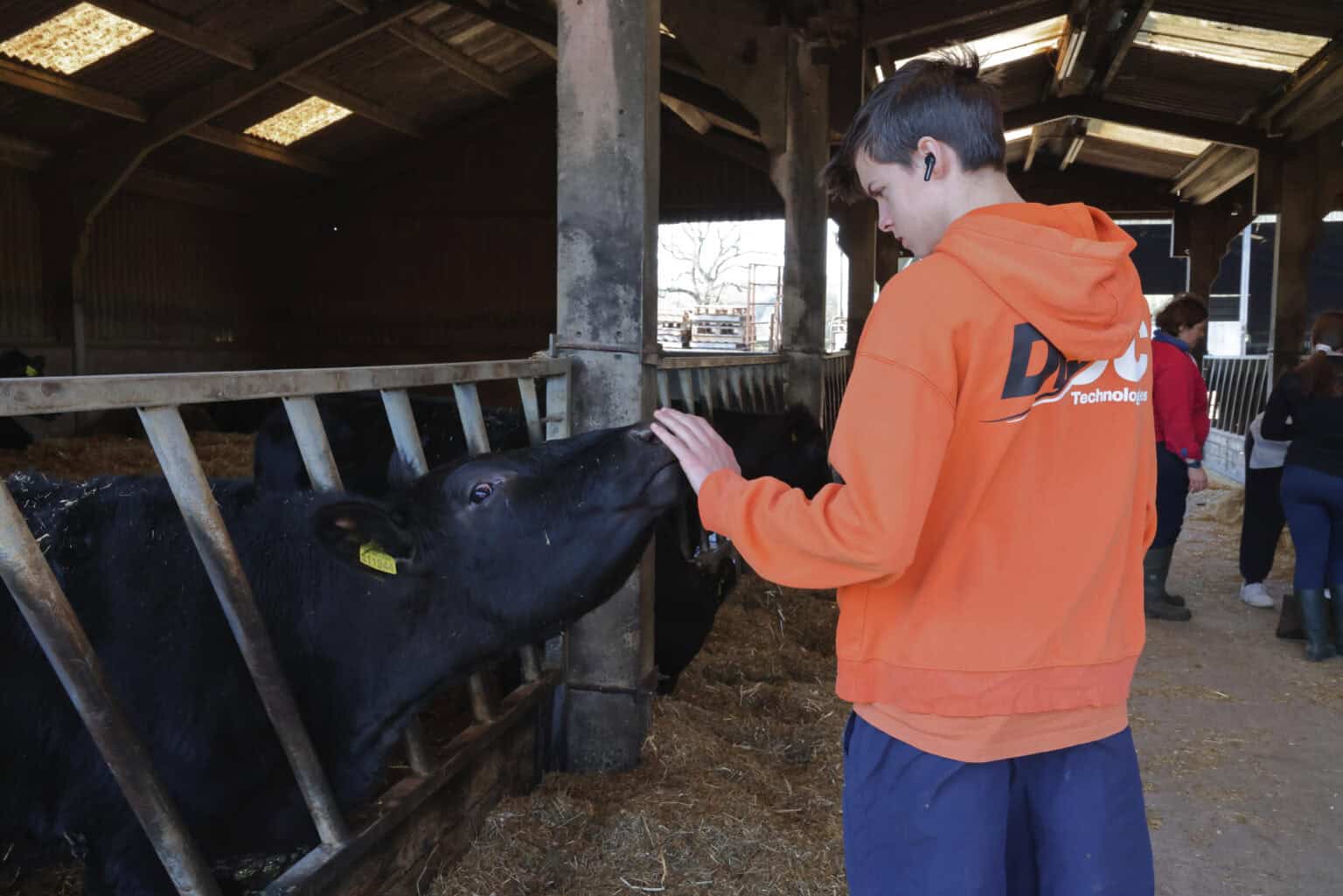 BBC News Article – Helping on the farm reaps mental health benefits ...