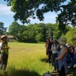 Shamley Green Tree walk with Pamela Holt