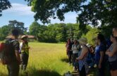 Shamley Green Tree walk with Pamela Holt