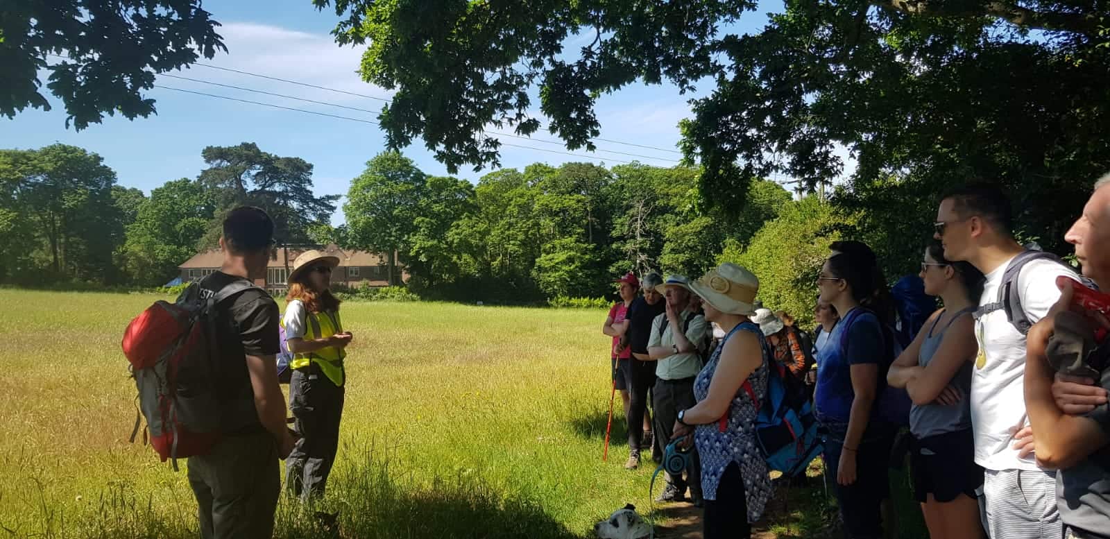 Shamley Green Tree walk with Pamela Holt