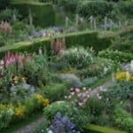 Garden visit to The Manor House, Upton Grey