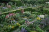 Garden visit to The Manor House, Upton Gray
