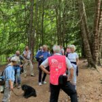North Downs Way from Guildford to Dorking as part of Guildford Walkfest