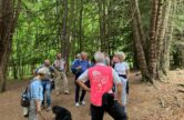 North Downs Way from Guildford to Dorking as part of Guildford Walkfest