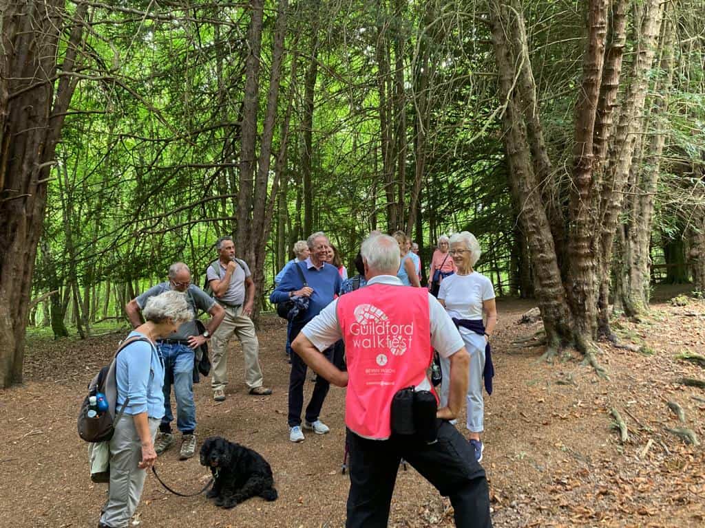 North Downs Way from Guildford to Dorking as part of Guildford Walkfest