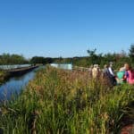 Explore Ash and Lakeside Nature Reserve as part of Guildford Walkfest