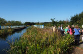 Explore Ash and Lakeside Nature Reserve as part of Guildford Walkfest