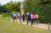 Follow the Fox Way between Worplesdon and Normandy as part of Guildford Walkfest