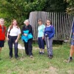 Explore Denbies Vineyard & North Downs Way as part of Dorking Walking Fesitval