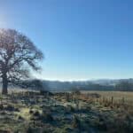 Explore Puttenham Common - free guided walk