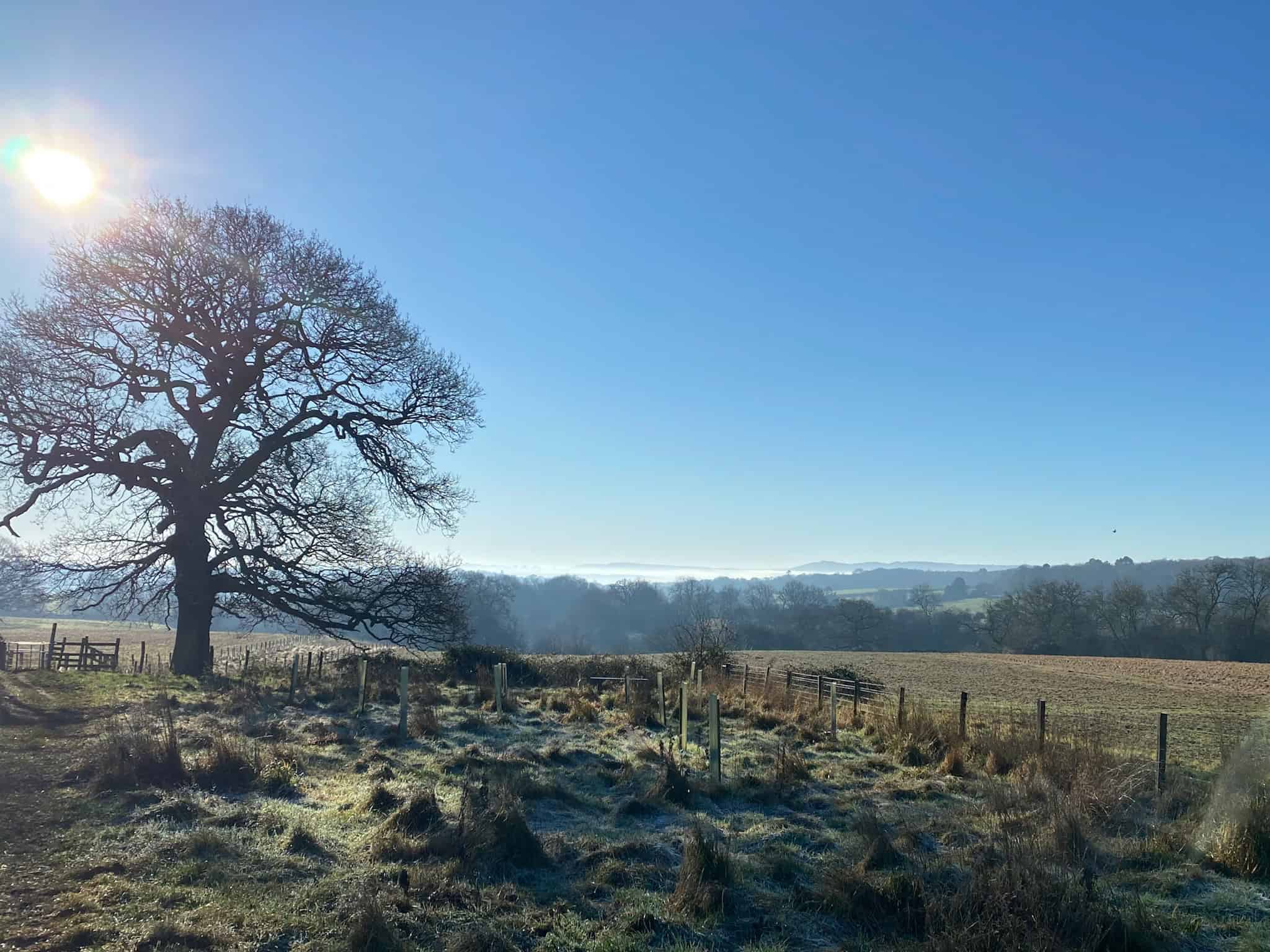 Explore Puttenham Common - free guided walk
