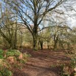 Free Sunday walk of the month – Limpsfield Common