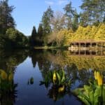 Presidents Day - A visit to Coverwood Farm and Lakes