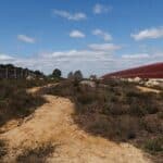 Explore Wisley Common and the new Green Bridge with Surrey Wildlife Trust - FULLY BOOKED