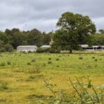 Behind the Scenes at Pierrepont Farm – Farming, Health, Conservation and Access
