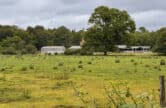 Behind the Scenes at Pierrepont Farm – Farming, Health, Conservation and Access