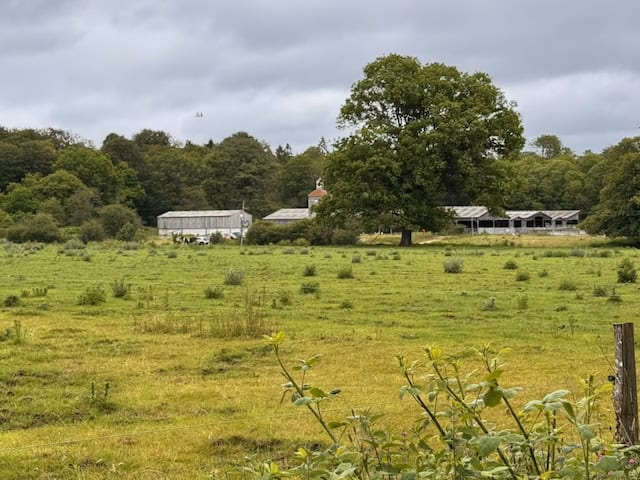 Behind the Scenes at Pierrepont Farm – Farming, Health, Conservation and Access
