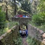 Free walk - Lovelace Bridges
