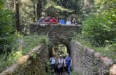 Free walk - Lovelace Bridges
